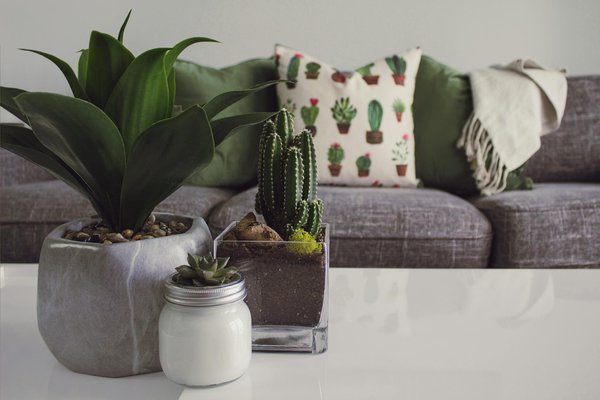Inspiration pour une déco ethnique authentique et chic