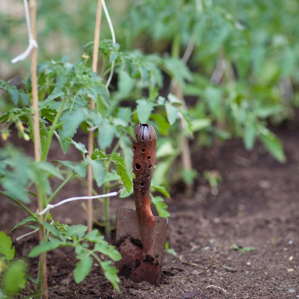 Top 5 formations en permaculture à genève pour débutants