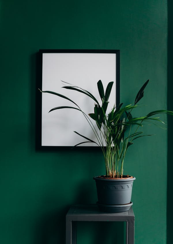 Street art tableaux : inspirez-vous pour embellir votre intérieur